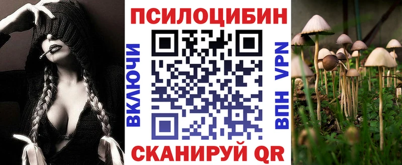 Купить  Макарьев  Псилоцибиновые грибы MAGIC MUSHROOMS 